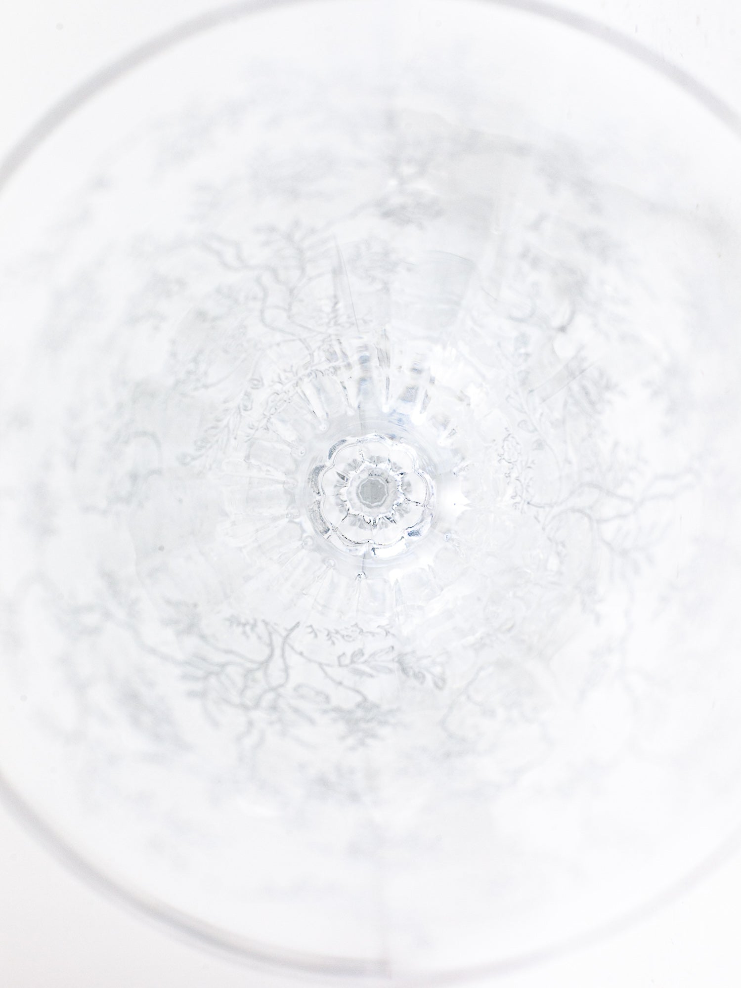 Fostoria "Chintz" Crystal Water Goblet