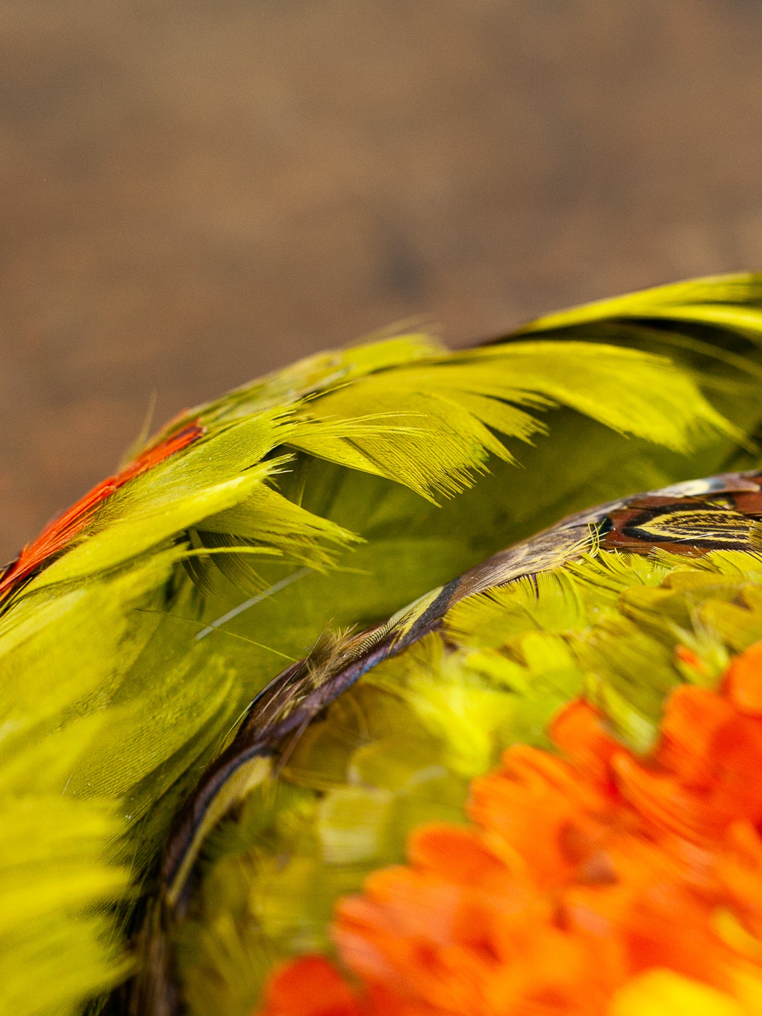 Ken Blair Peacock & Pheasant Feather Hat, Circa 1940s