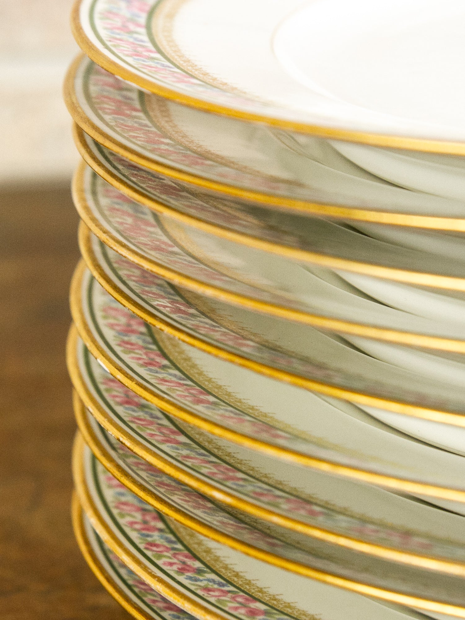 Set of Ten GDA Limoges Dinner Plates for Bailey, Banks & Biddle