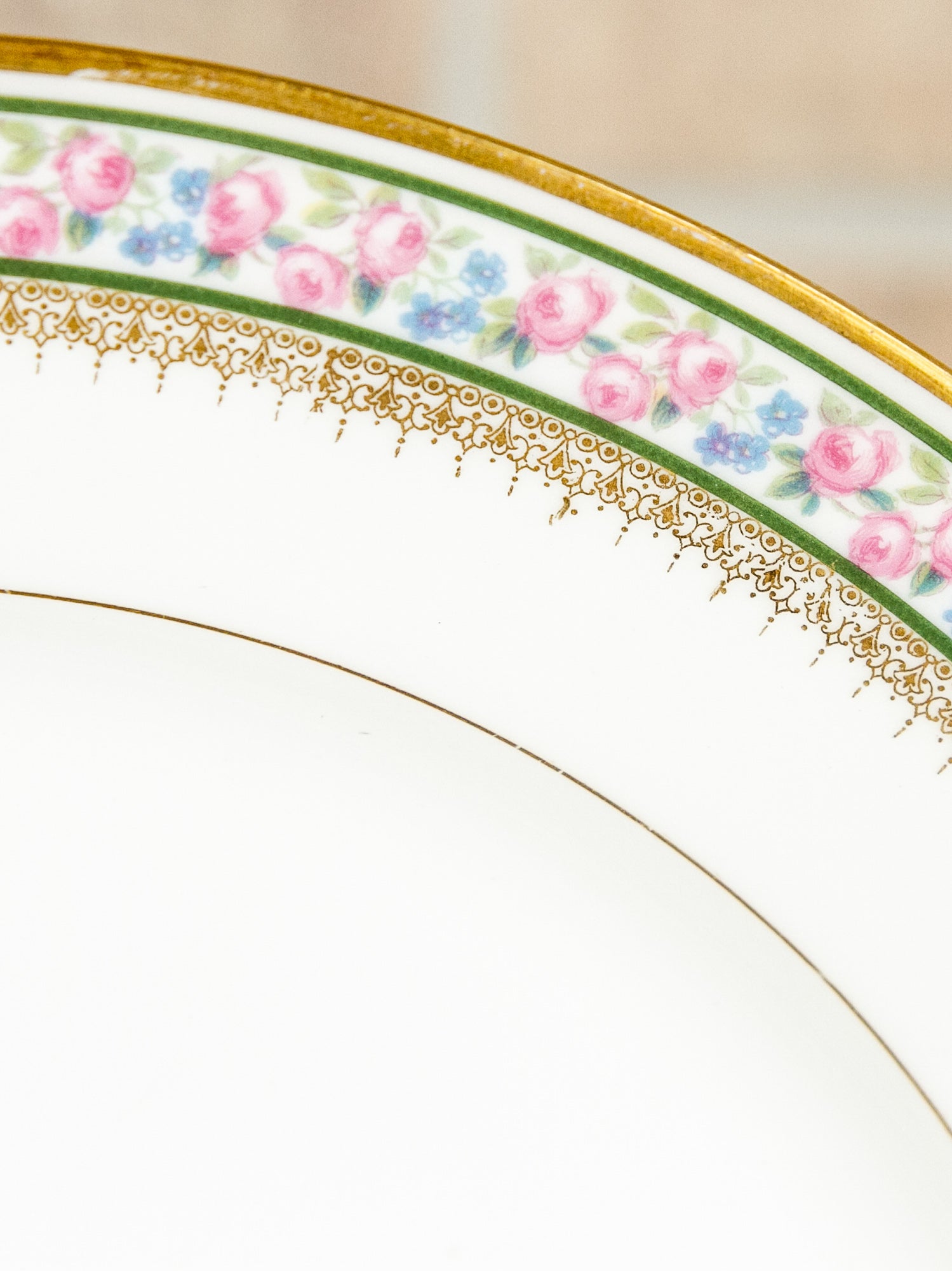 Set of Ten GDA Limoges Dinner Plates for Bailey, Banks & Biddle