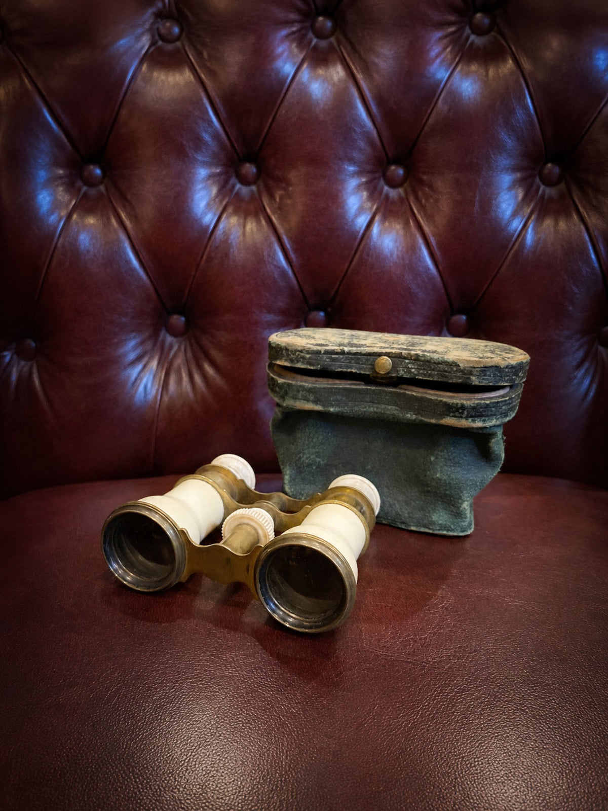 19th Century Brass & Bone Opera Glasses with Original Case