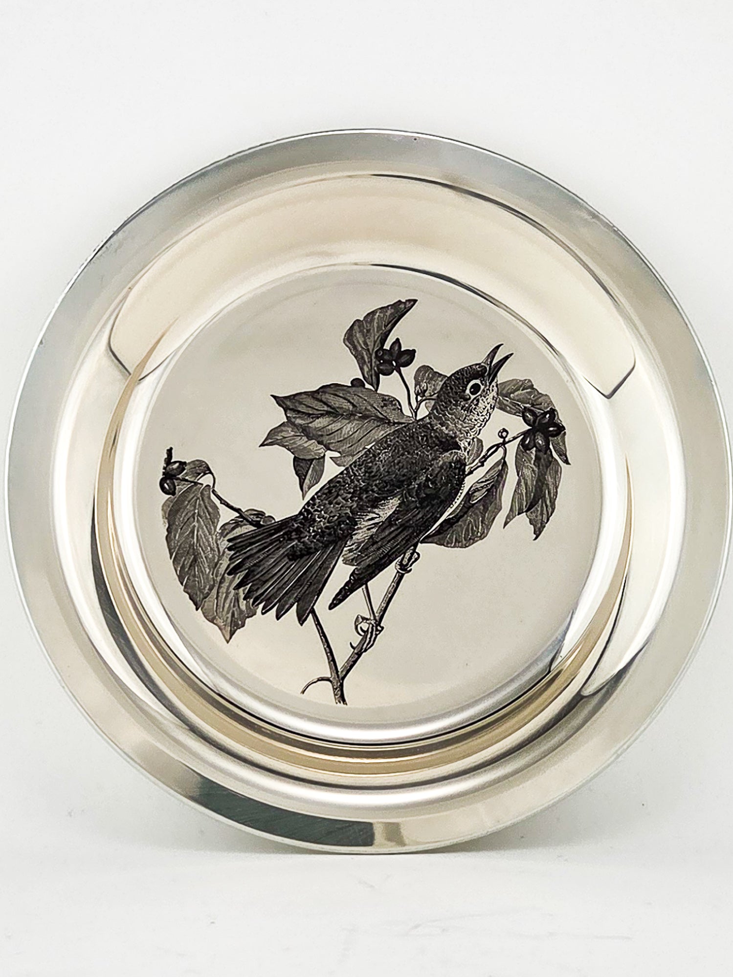 Vintage Franklin Mint National Audubon Society Sterling Silver Plate Limited Edition 1973