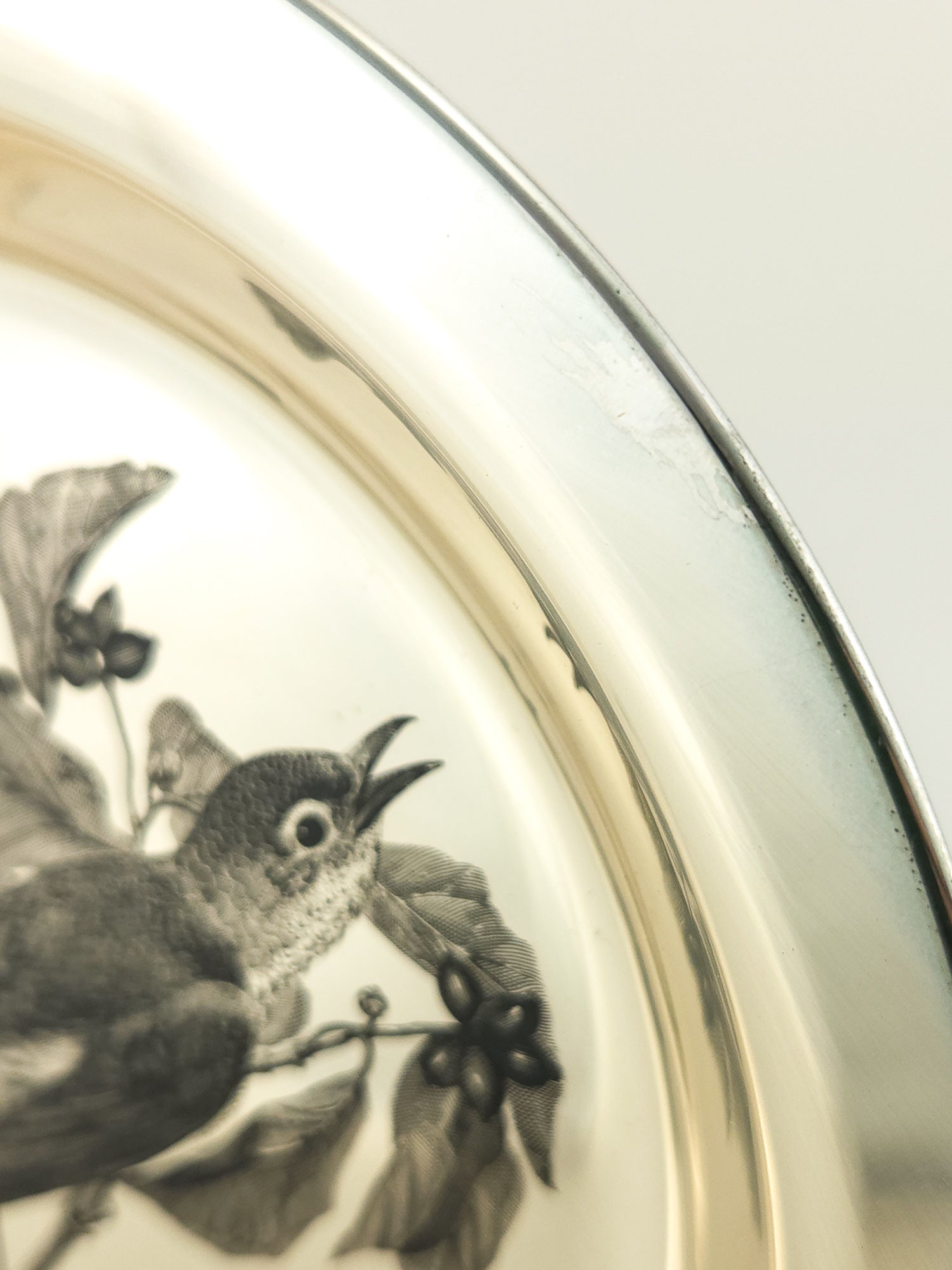 Vintage Franklin Mint National Audubon Society Sterling Silver Plate Limited Edition 1973