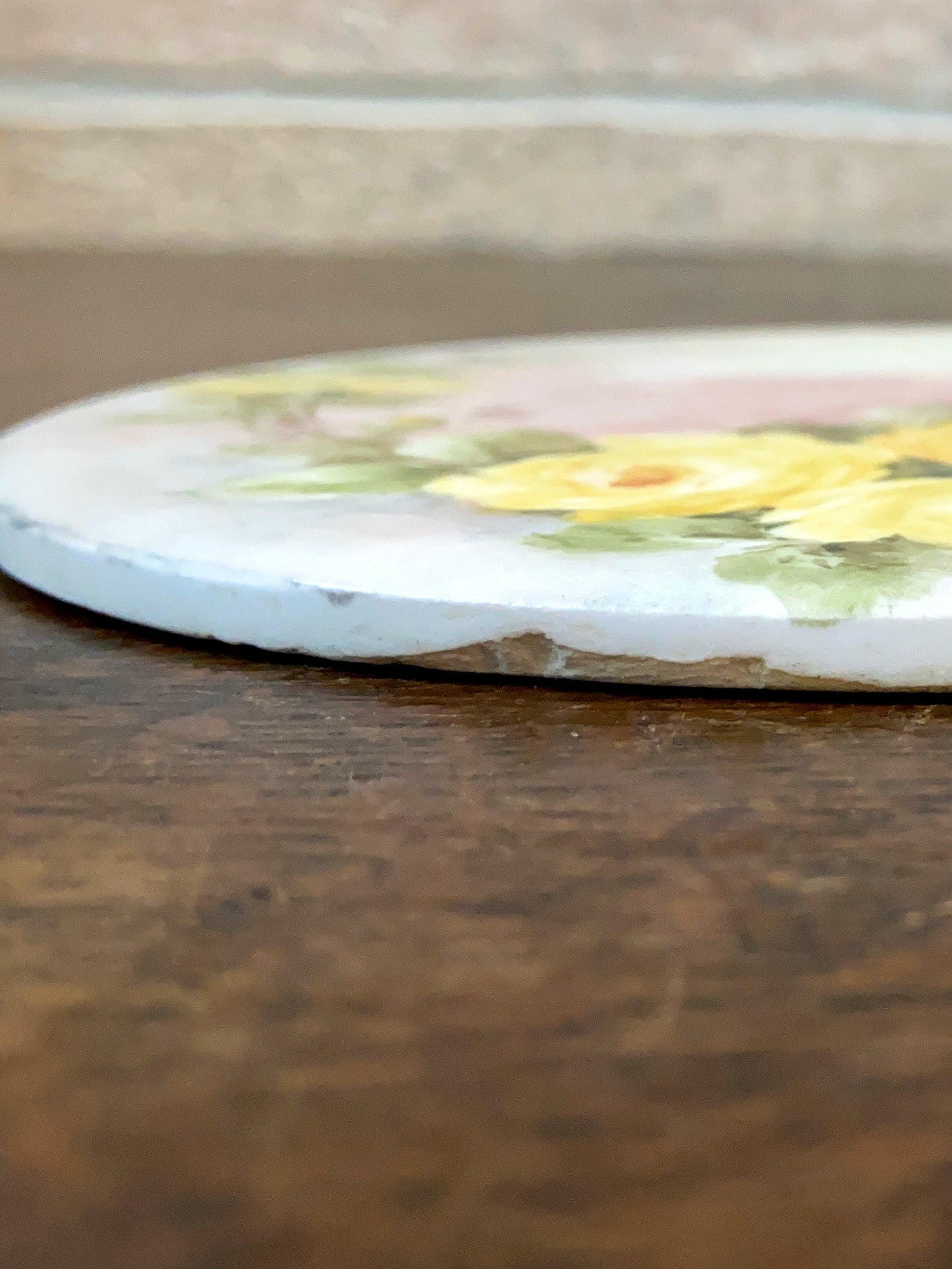 Vintage Hand Painted Porcelain Trivet, Artist Signed Emma Beguhn C.1930.