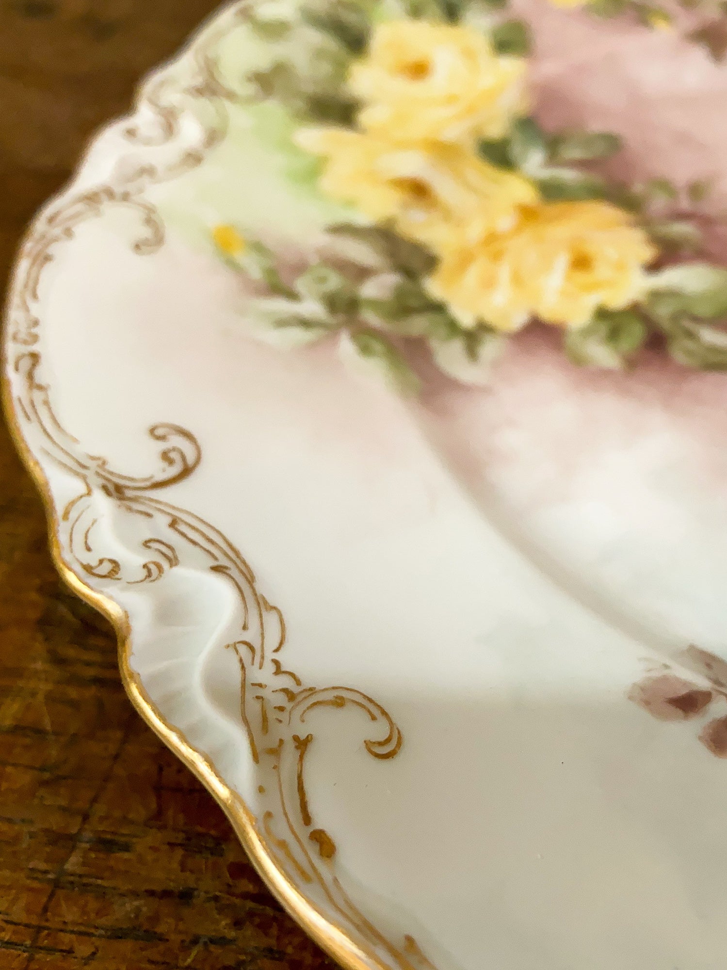Emma L. Beguhn Hand-Painted German Porcelain Plate