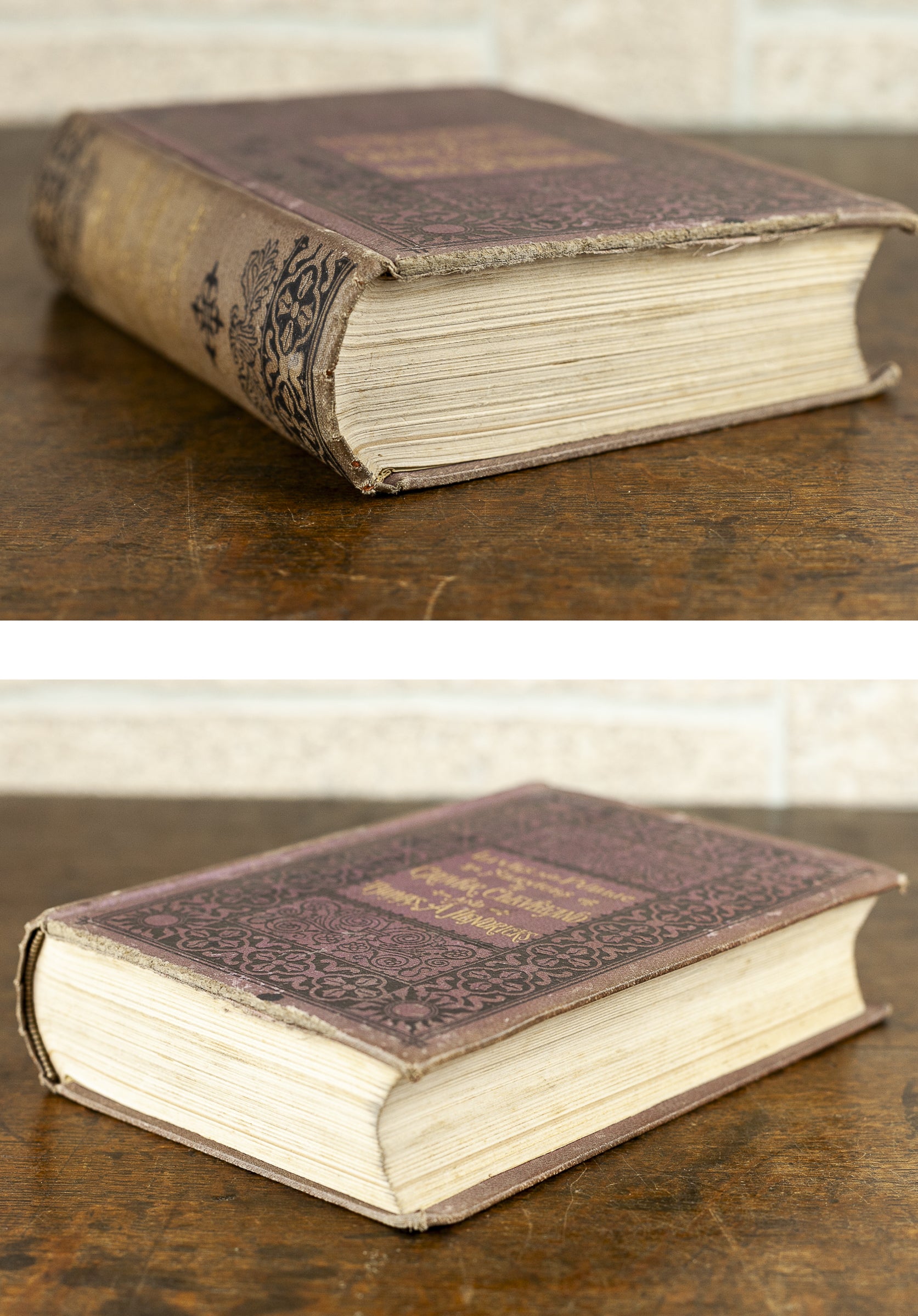 1884 First Edition "Lives and Public Services of Grover Cleveland and Thomas A. Hendricks" by Col. Frank Triplett