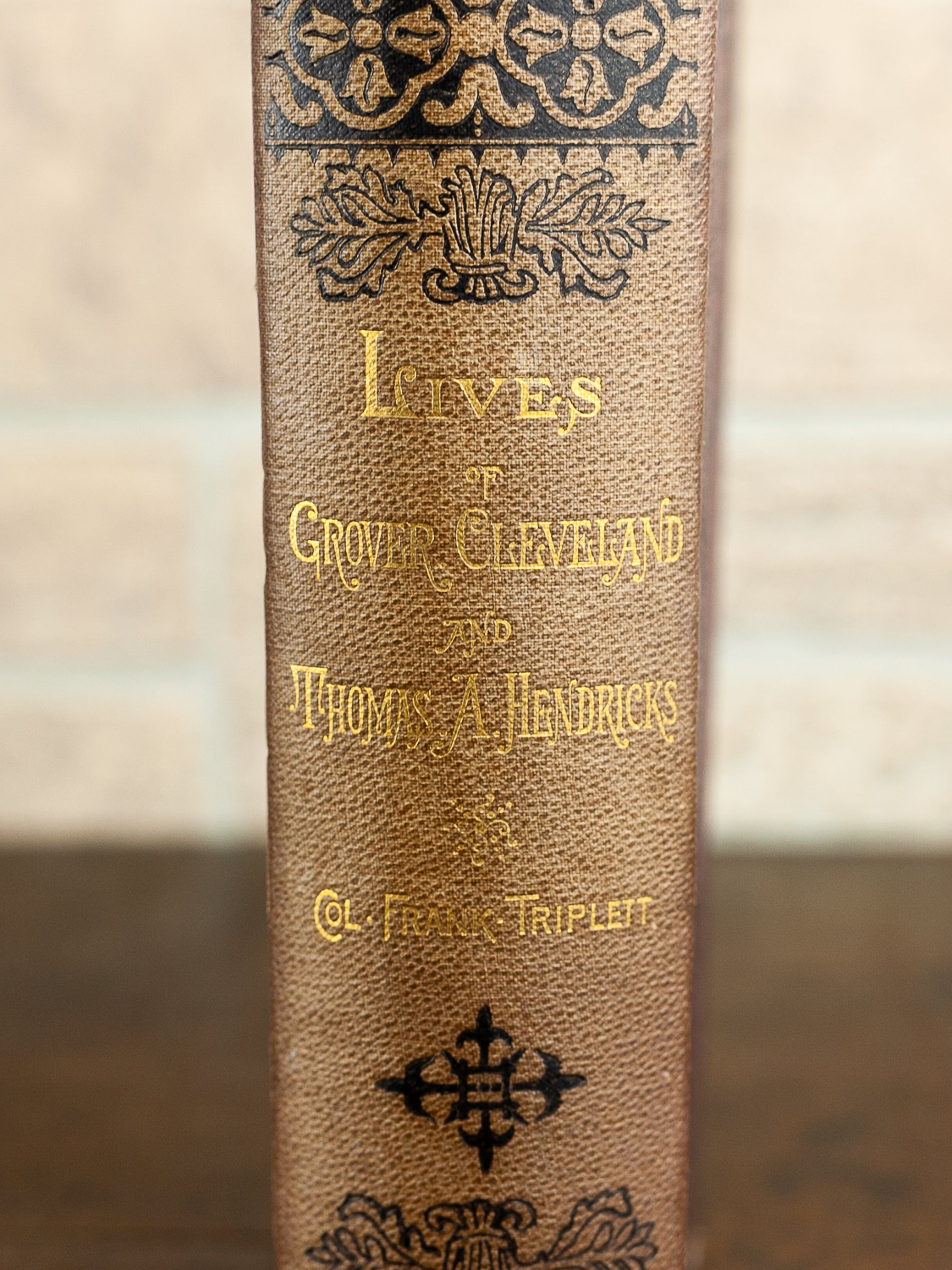 1884 First Edition "Lives and Public Services of Grover Cleveland and Thomas A. Hendricks" by Col. Frank Triplett