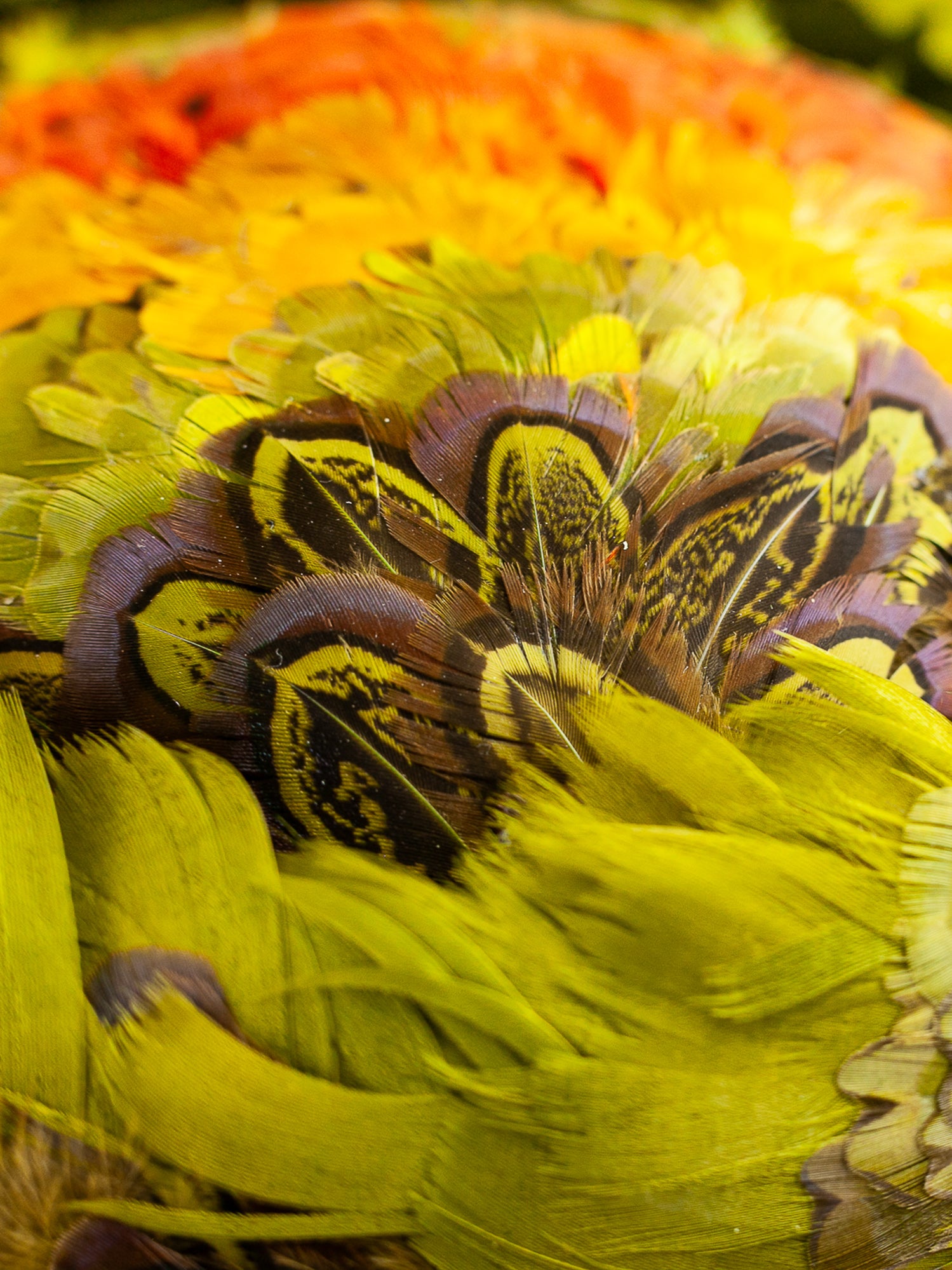 Ken Blair Peacock & Pheasant Feather Hat, Circa 1940s