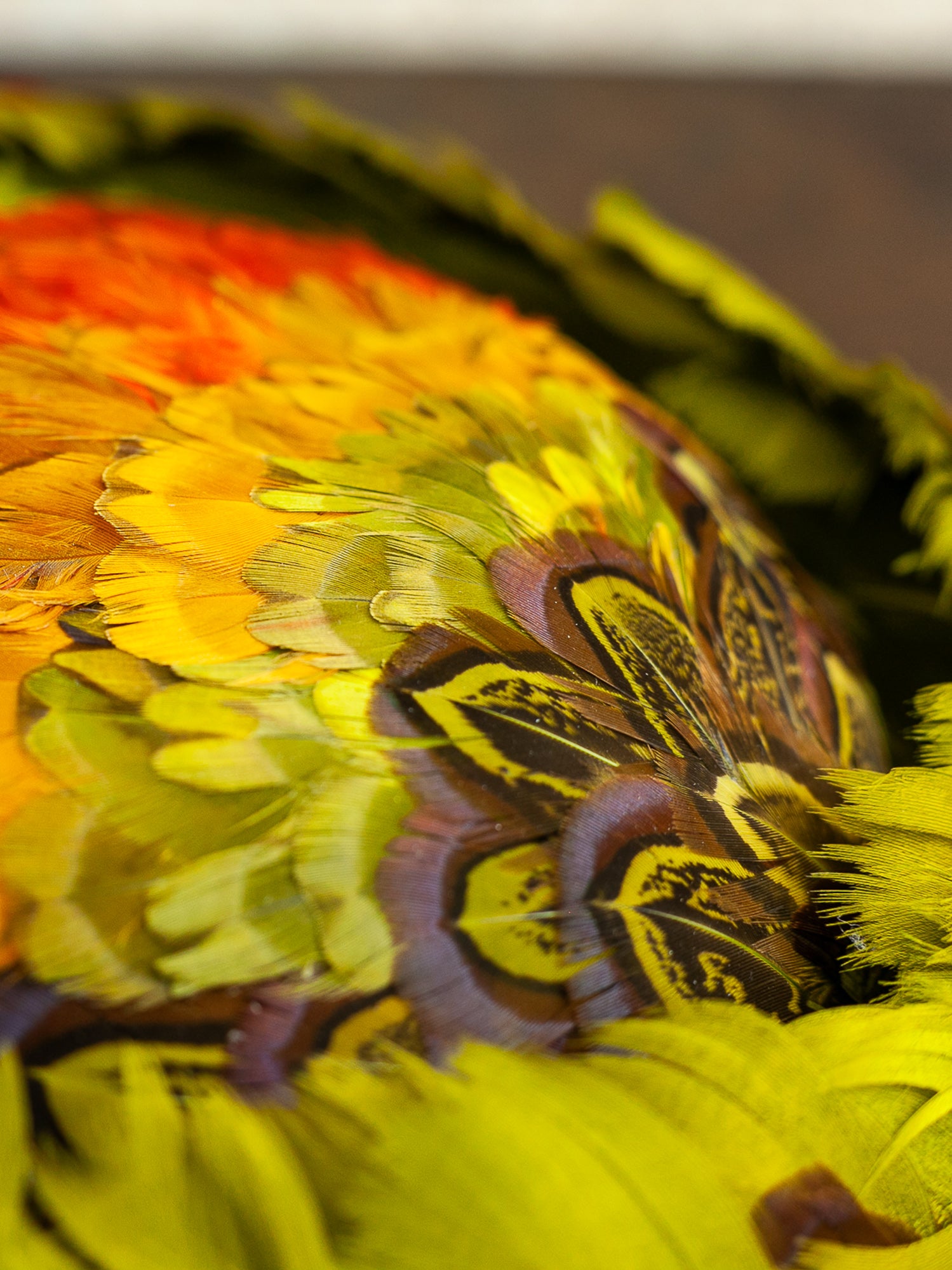 Ken Blair Peacock & Pheasant Feather Hat, Circa 1940s