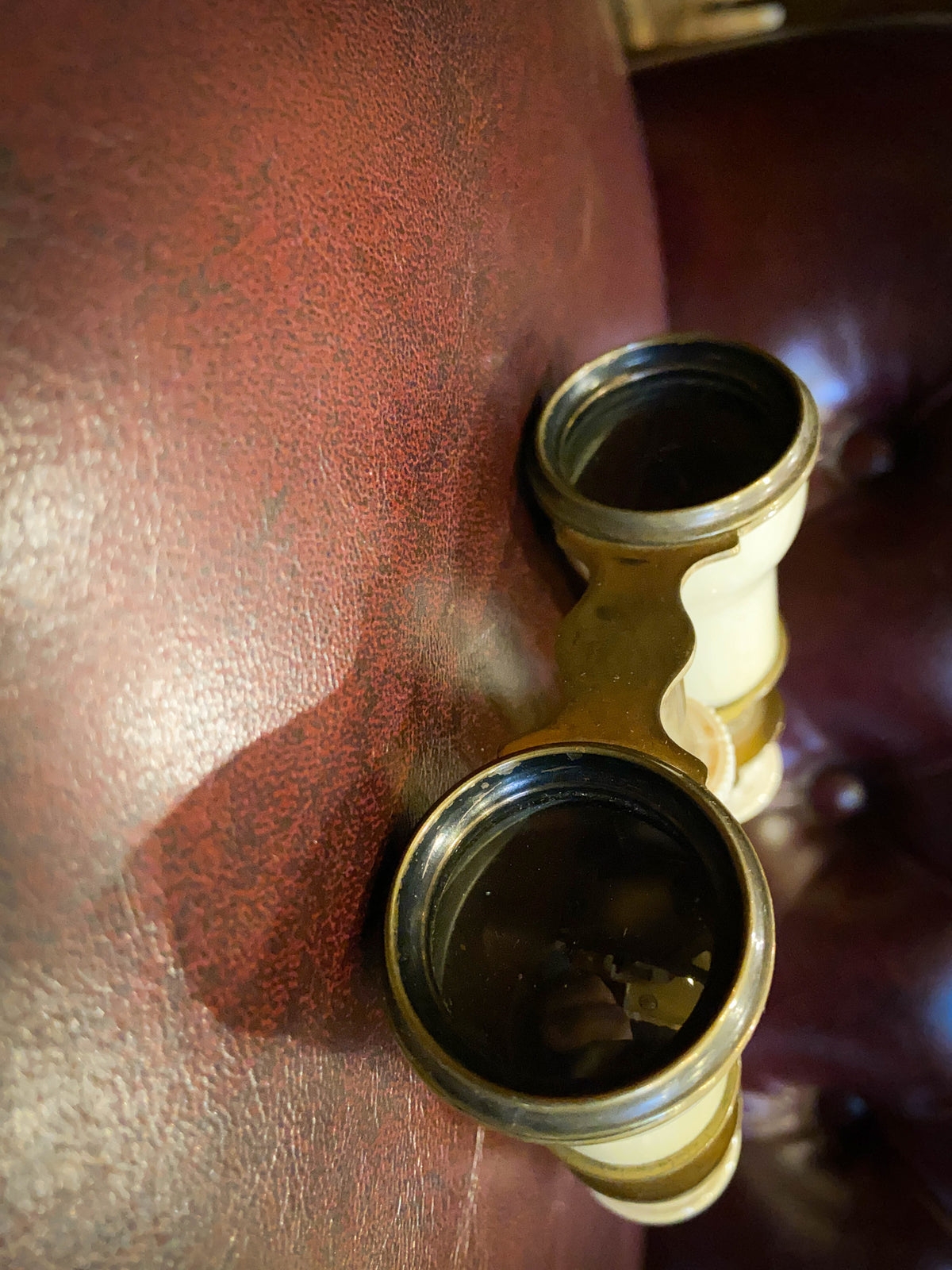 19th Century Brass & Bone Opera Glasses with Original Case