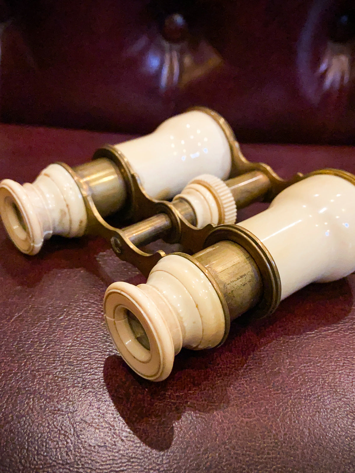19th Century Brass & Bone Opera Glasses with Original Case
