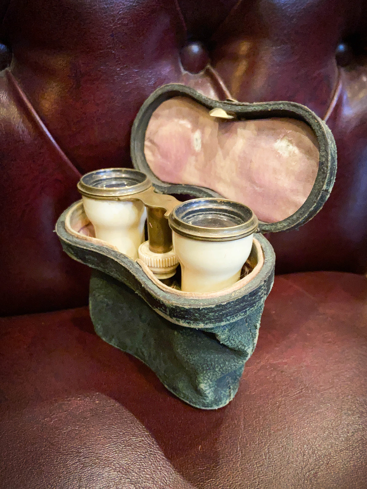 19th Century Brass & Bone Opera Glasses with Original Case