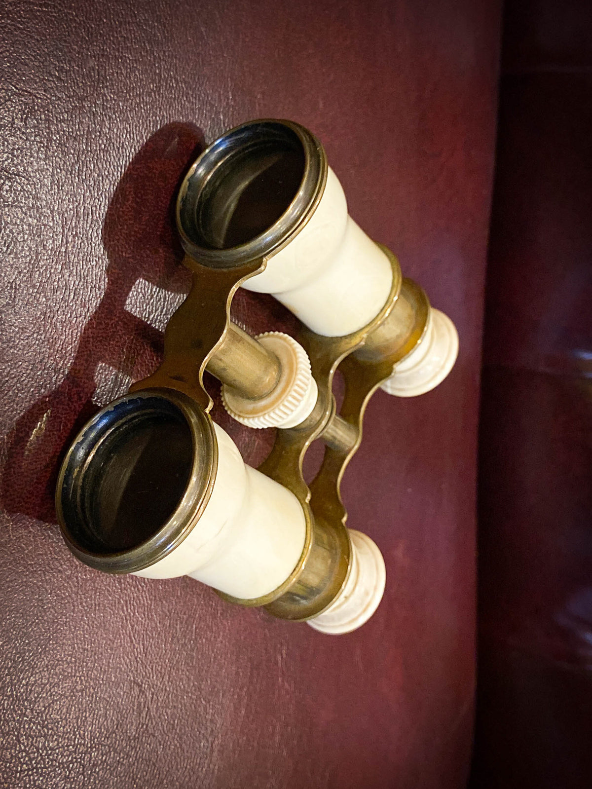 19th Century Brass & Bone Opera Glasses with Original Case