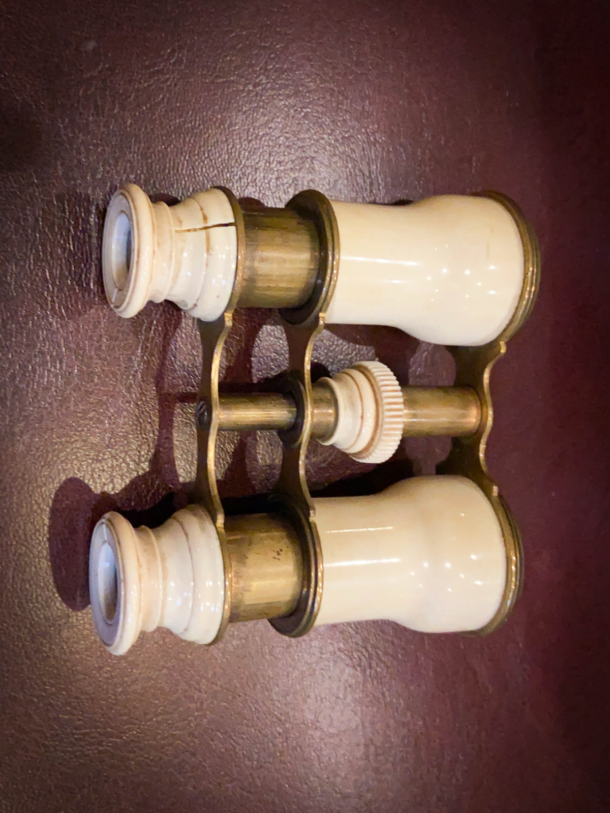 19th Century Brass & Bone Opera Glasses with Original Case