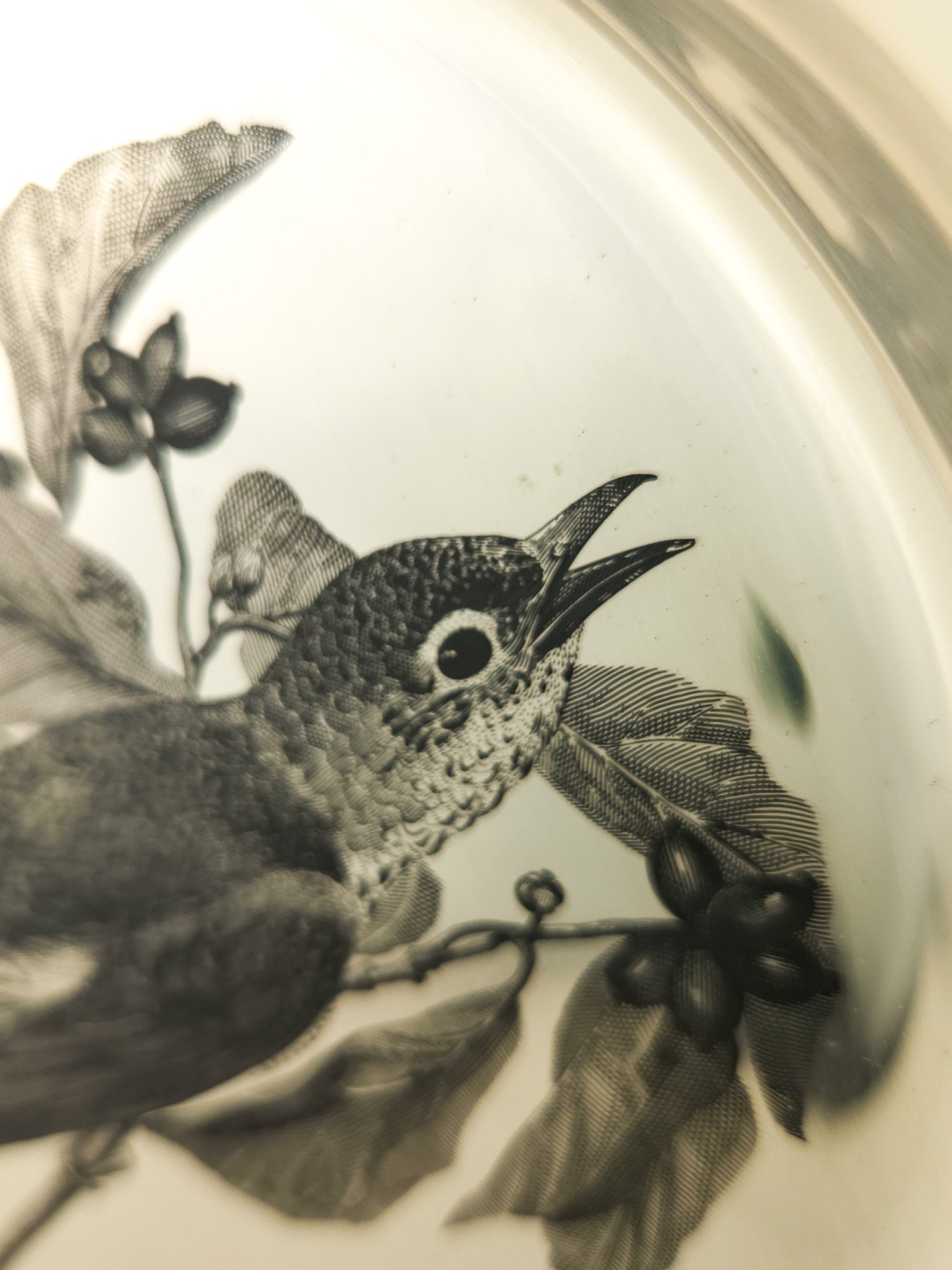 Vintage Franklin Mint National Audubon Society Sterling Silver Plate Limited Edition 1973