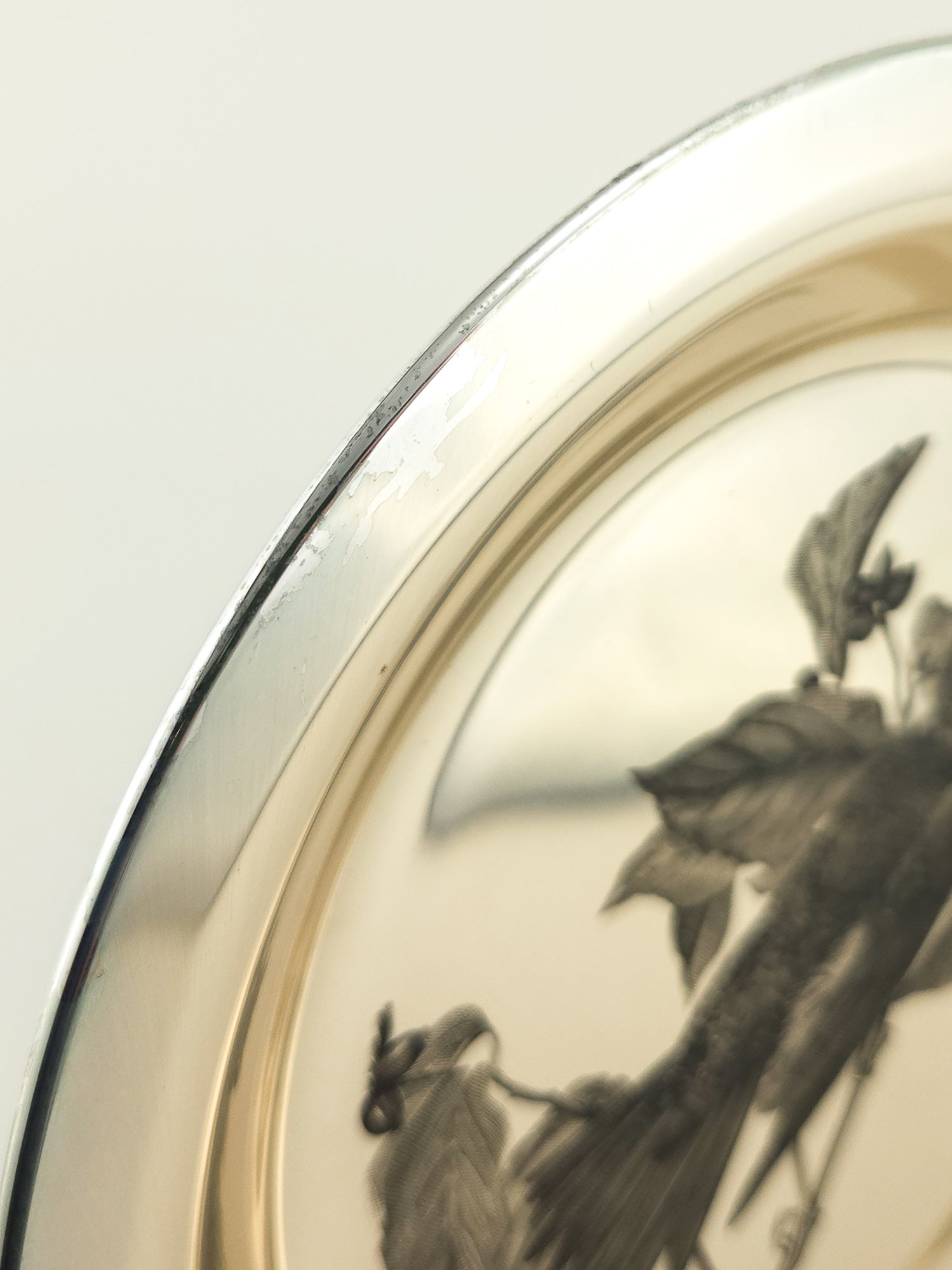 Vintage Franklin Mint National Audubon Society Sterling Silver Plate Limited Edition 1973