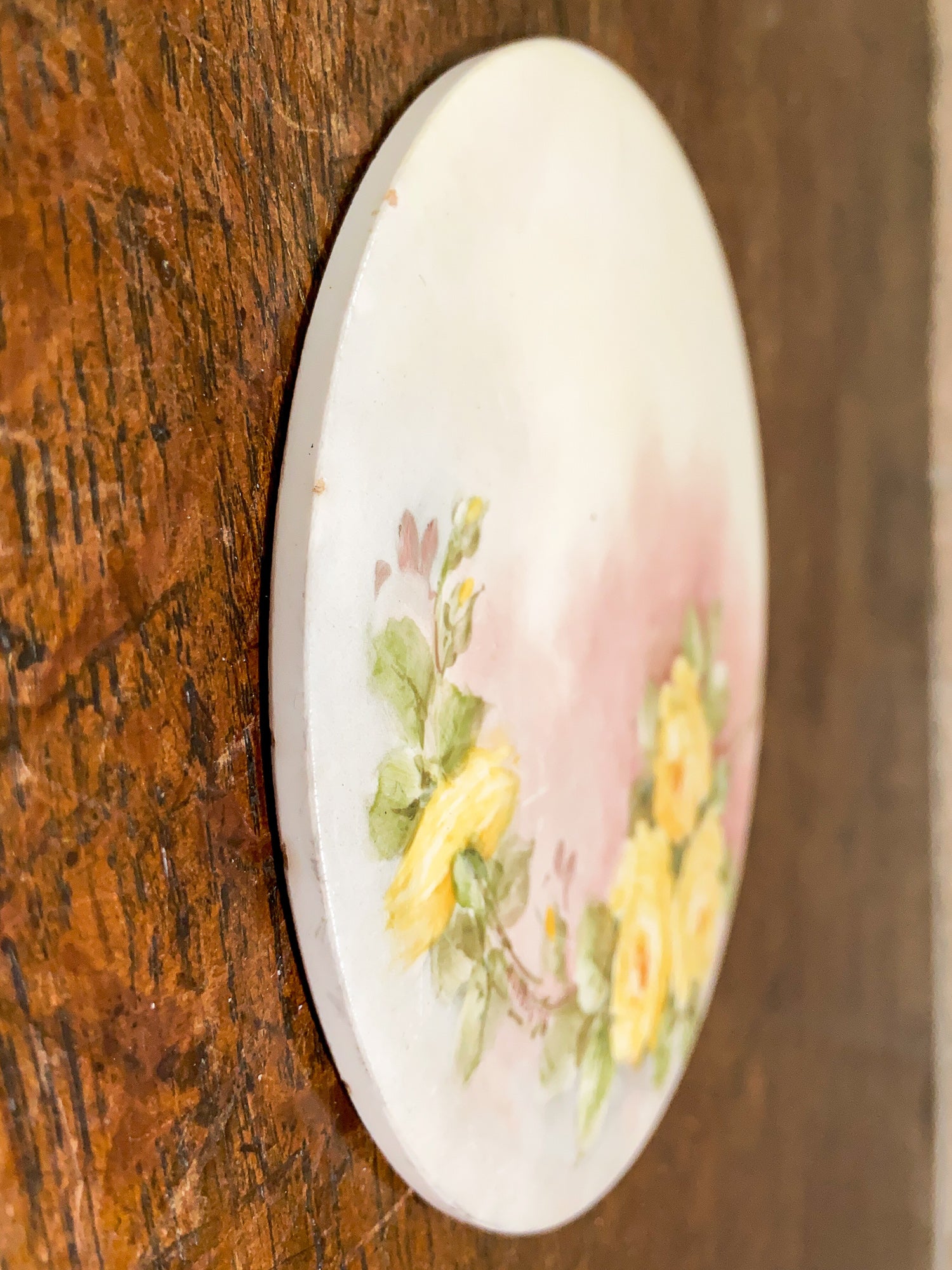 Vintage Hand Painted Porcelain Trivet, Artist Signed Emma Beguhn C.1930.