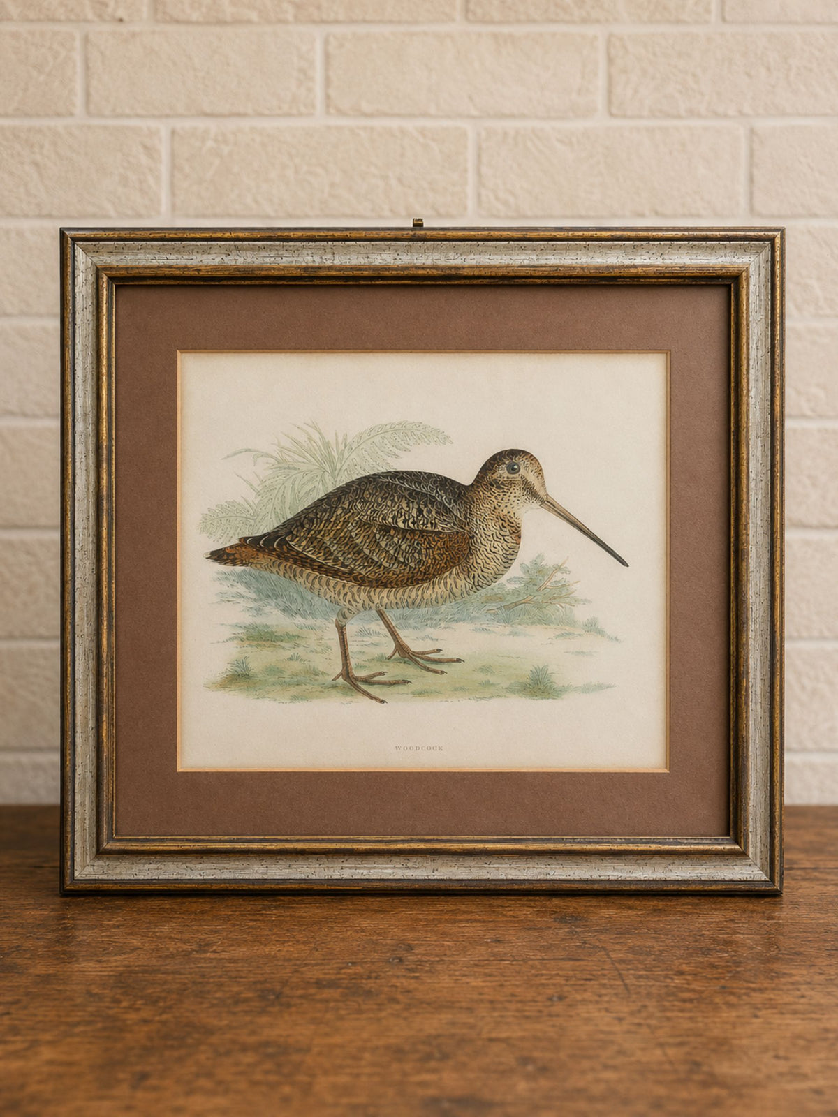 19th Century Hand-Colored Woodcock Print by Beverley R. Morris